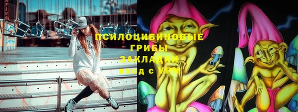 ешки Алзамай