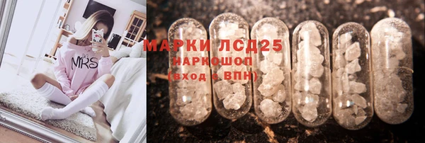 гидра Алексин